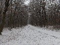 image0000.jpg