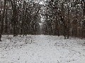 image0001.jpg