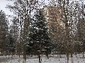 image0012.jpg