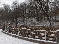 image0034.jpg
