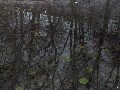 image0037.jpg