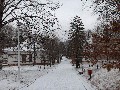 image0064.jpg